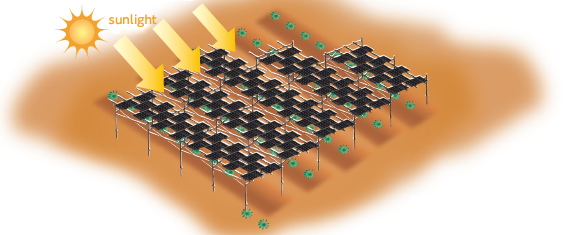 Top area - solar panels Bottom area - your free choice!